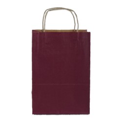 Burgu Saplı Mor Kağıt Çanta 18x24x8 Cm - 2