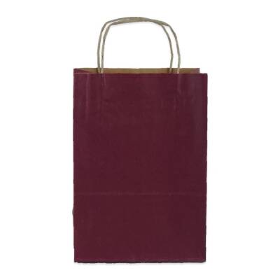 Burgu Saplı Mor Kağıt Çanta 18x24x8 Cm - 2