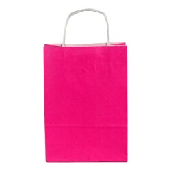 Burgu Saplı Pembe Kağıt Çanta 18x24x8 Cm - 2
