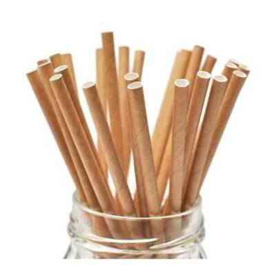 Kraft Frozen Kağıt Pipet 8 mm x 23 cm - 2
